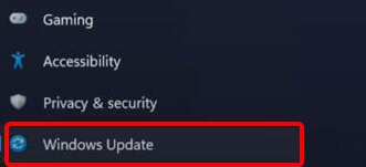 Win11攝像頭無法開啟怎么辦？Win11攝像頭無法開啟的解決方法