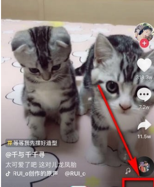 抖音動(dòng)態(tài)封面設(shè)置方法介紹 抖音動(dòng)態(tài)封面如何設(shè)置