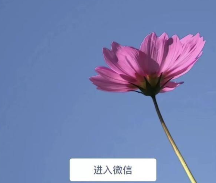 微信7.0后悔更新了如何恢復(fù)？微信7.0后悔更新后恢復(fù)方法教程解答！