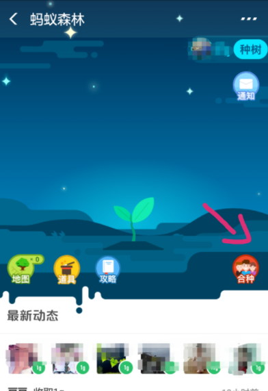支付寶螞蟻森林如何發起合種?螞蟻森林操作教程
