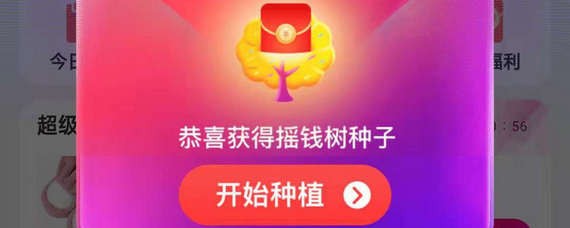 淘寶搖錢樹在哪里？淘寶搖錢樹位置詳情介紹！