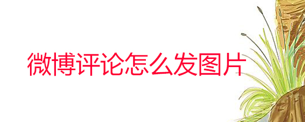 微博評(píng)論怎么發(fā)圖片_微博評(píng)論發(fā)圖片方法