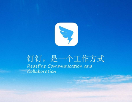 釘釘投票功能在哪？完整版圖文操作教程
