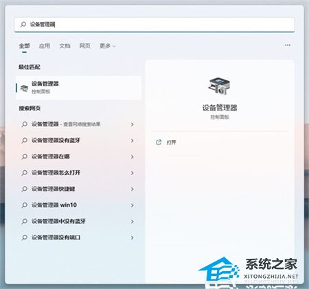 Win11不兼容的驅(qū)動(dòng)程序怎么刪除？完美刪除Win11不兼容驅(qū)動(dòng)程序方法