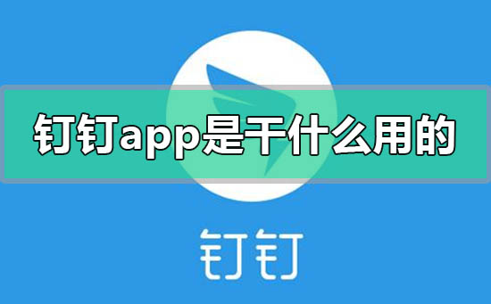 釘釘app是干什么用的