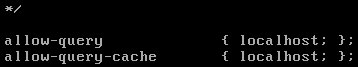Linux(CentOS)如何安裝DNS服務器？