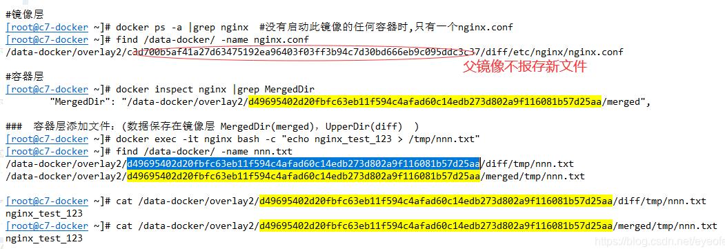docker 文件存放路徑, 修改端口映射操作方式